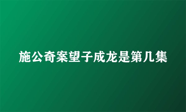 施公奇案望子成龙是第几集