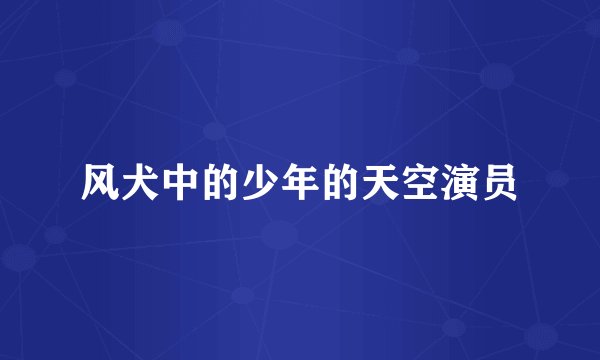 风犬中的少年的天空演员