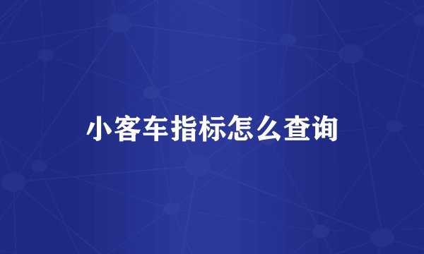 小客车指标怎么查询
