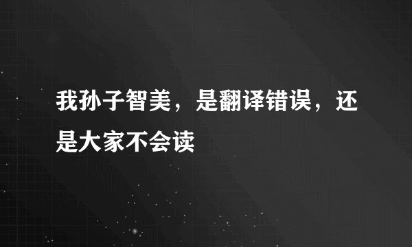 我孙子智美，是翻译错误，还是大家不会读