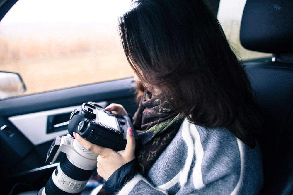 少女奉上的介绍