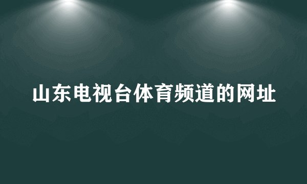 山东电视台体育频道的网址