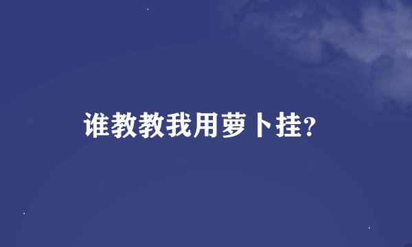 谁教教我用萝卜挂?