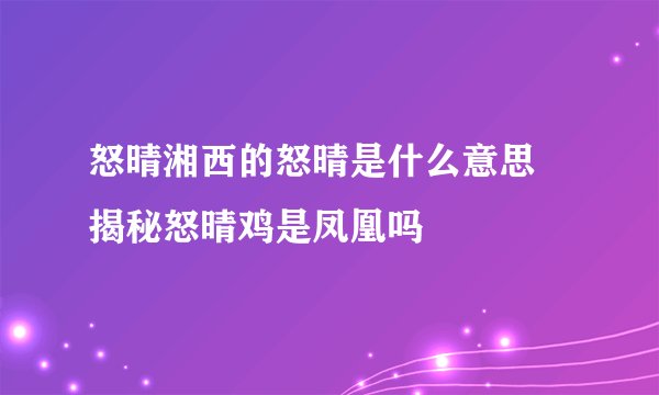 怒晴湘西的怒晴是什么意思 揭秘怒晴鸡是凤凰吗