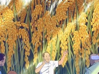 袁隆平爷爷的禾下乘凉梦原话