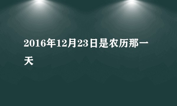 2016年12月23日是农历那一天