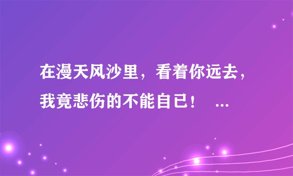 在漫天风沙里，看着你远去，我竟悲伤的不能自已！    请问是什么歌？？