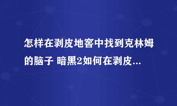 怎样在剥皮地窖中找到克林姆的脑子 暗黑2如何在剥皮地窖中找到克林姆的脑子
