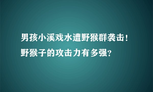 男孩小溪戏水遭野猴群袭击！野猴子的攻击力有多强？