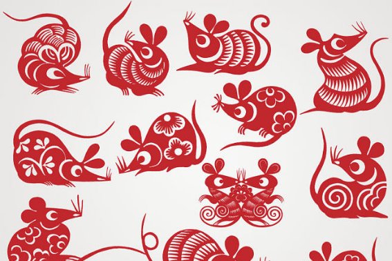 夜夜无眠打一个生肖动物