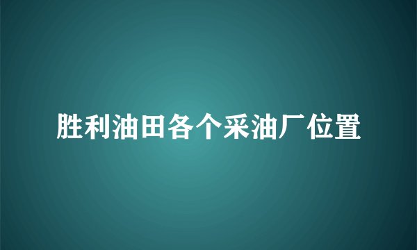 胜利油田各个采油厂位置