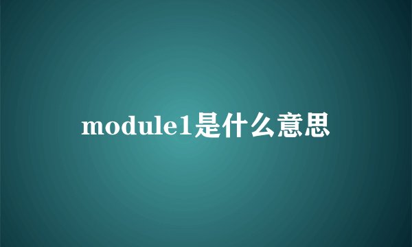 module1是什么意思