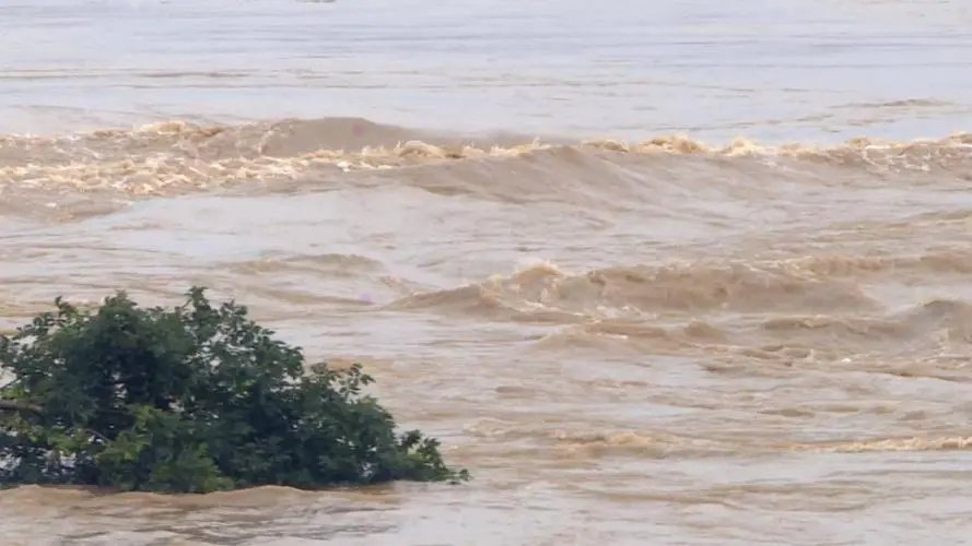 水利部：未来一周我国汛情旱情叠加形势严峻！需要提前做好哪些防范？