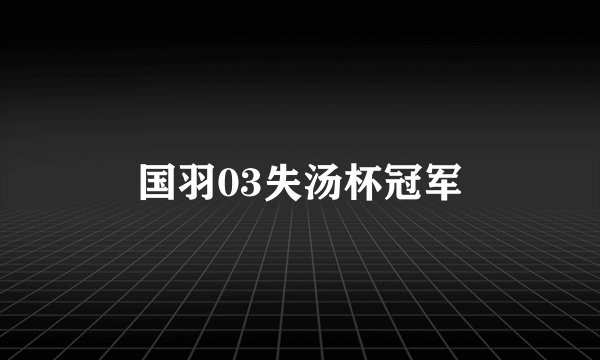国羽03失汤杯冠军