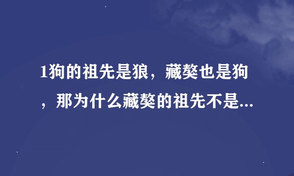 1狗的祖先是狼，藏獒也是狗，那为什么藏獒的祖先不是狼，2藏獒为什么会有野生的，狗也有野生的吗，