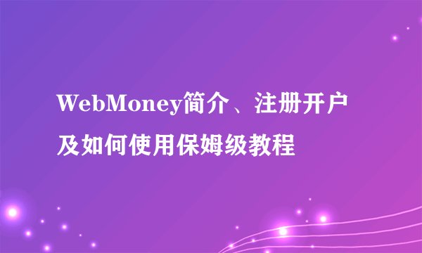 WebMoney简介、注册开户及如何使用保姆级教程