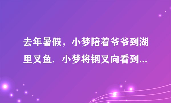 去年暑假，小梦陪着爷爷到湖里叉鱼．小梦将钢叉向看到鱼的方向投掷，总是叉不到鱼．如图所示的四幅光路图