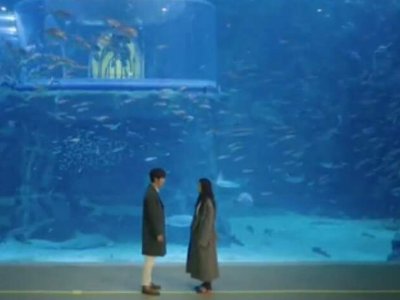 《蓝色大海的传说》在哪个app上可以看?