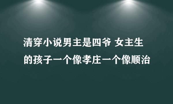 清穿小说男主是四爷 女主生的孩子一个像孝庄一个像顺治