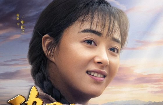 电影《功勋》含了哪八位人物?