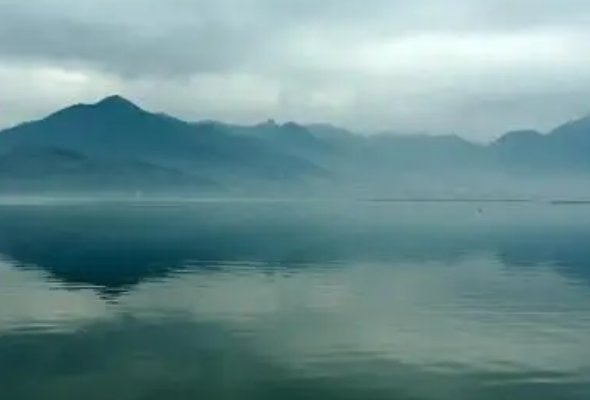 青蓝代表什么含义