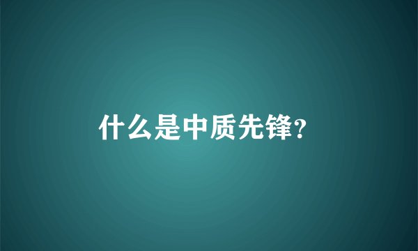 什么是中质先锋？