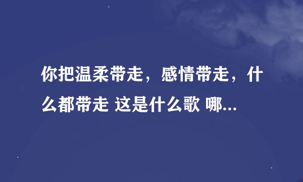 你把温柔带走，感情带走，什么都带走 这是什么歌 哪位大神给说一下 顺便带上歌词 谢谢