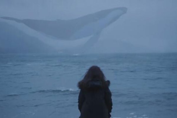 52赫兹代表什么意思