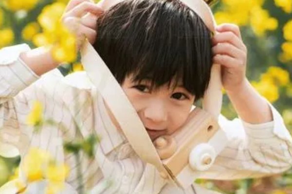 腼腆男孩是什么意思