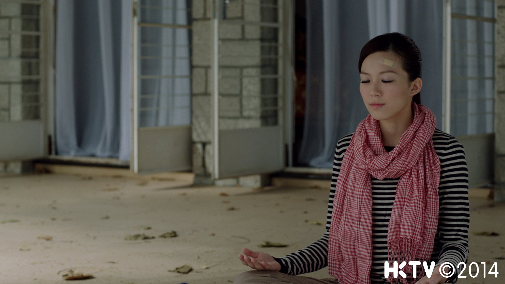 开脑儆探的介绍