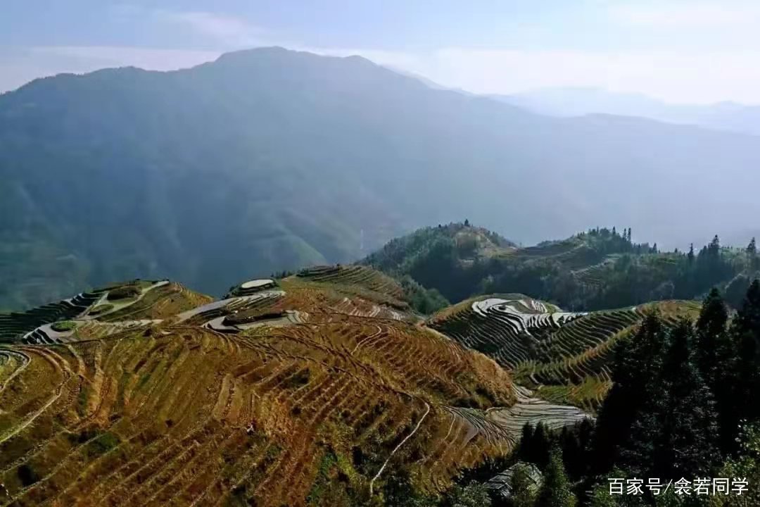 《一路走来一路读》这部书，你认为它所表达的意思是什么？