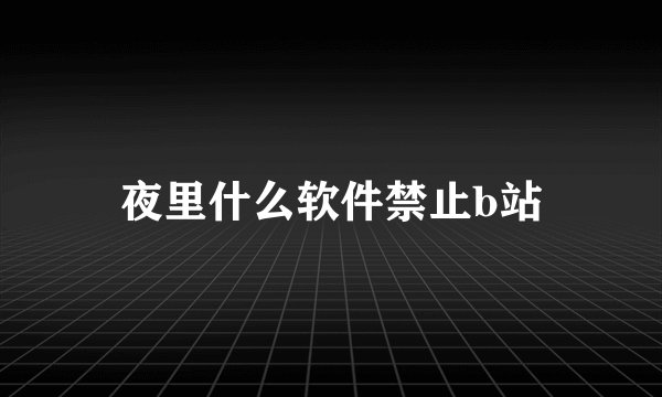 夜里什么软件禁止b站