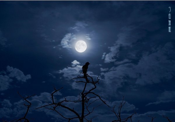 无眠是什么意思？