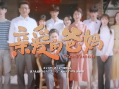 亲爱的爸妈向东最后和谁在一起了