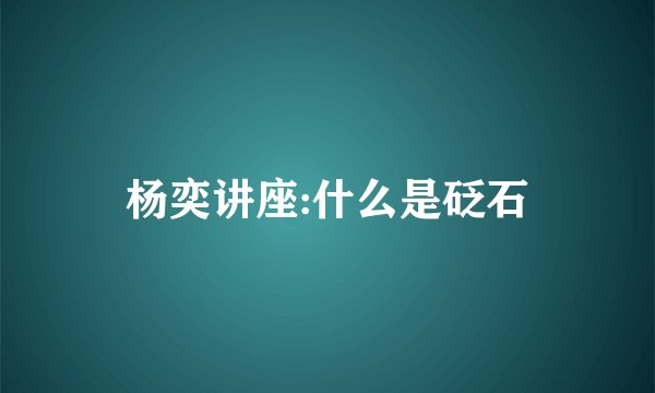 杨奕讲座:什么是砭石