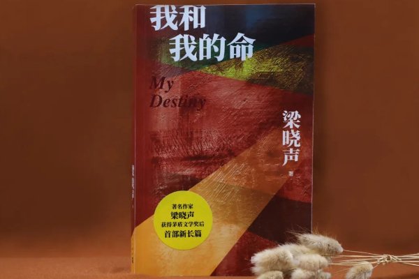 梁晓声十大经典小说