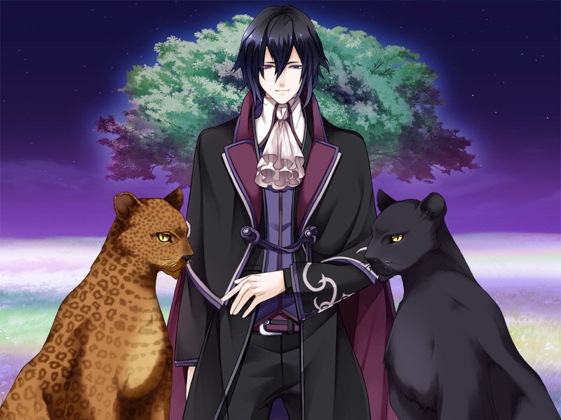 笼中的艾莉希丝的用语解释