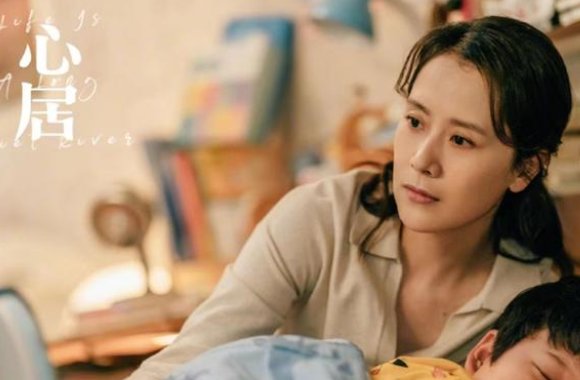 海清演过哪些电视剧？