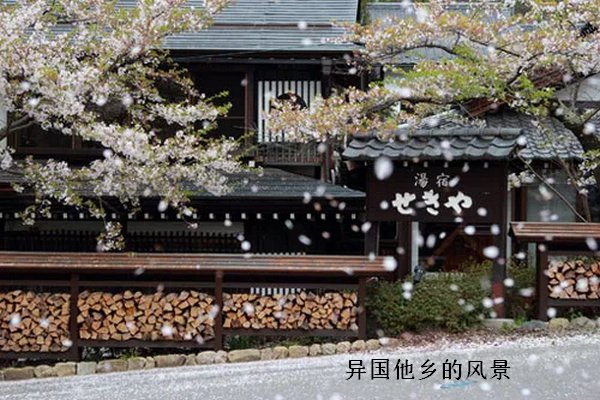 异国他乡是什么意思
