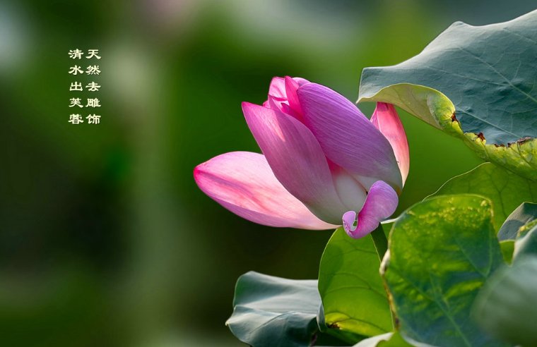 天上白玉京，十二楼五城。