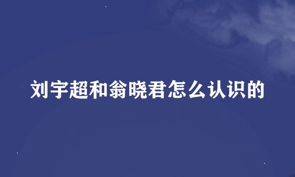 刘宇超和翁晓君怎么认识的