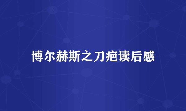 博尔赫斯之刀疤读后感