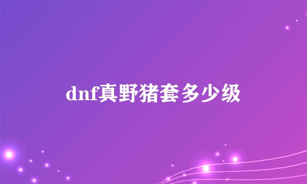 dnf真野猪套多少级