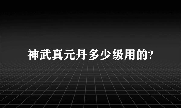 神武真元丹多少级用的?
