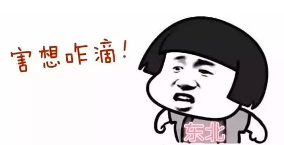 经典东北话对白是怎么样的？