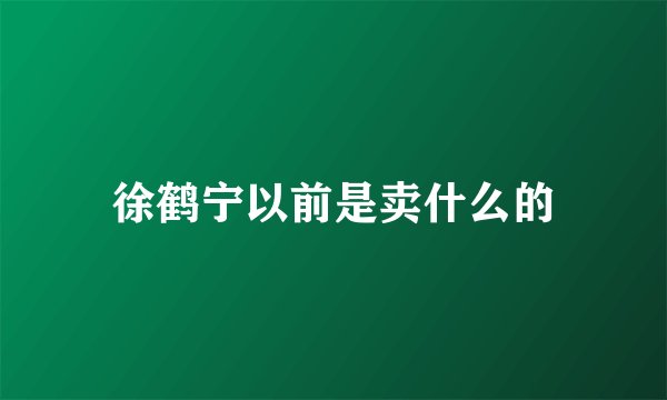 徐鹤宁以前是卖什么的