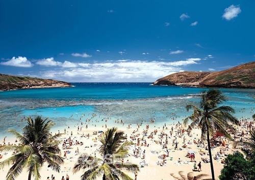 每年的十月十六日是什么日？第一个世界无烟日第二个全国土地日三个世界粮食日第四个世界卫生日