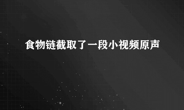 食物链截取了一段小视频原声