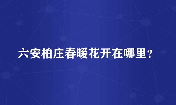 六安柏庄春暖花开在哪里？
