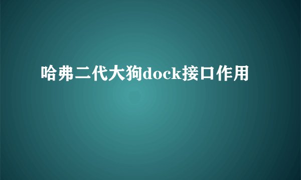 哈弗二代大狗dock接口作用
